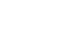 Mentoria Elevated 9